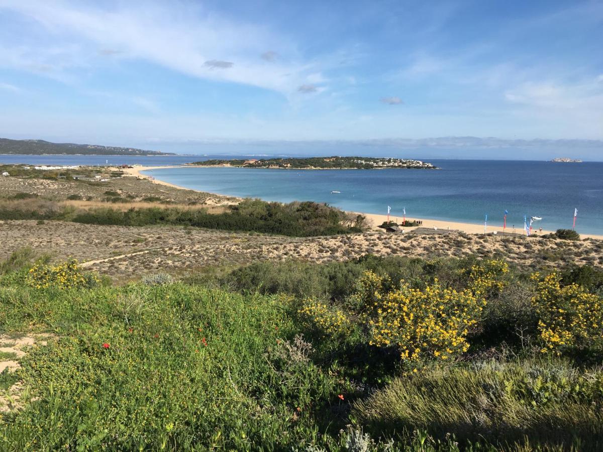 Il Bouganville A 150M Dalla Spiaggia Con Vista Sulla Splendida Baia Di Porto Raphael Палау Экстерьер фото