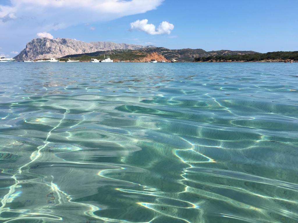 Il Bouganville A 150M Dalla Spiaggia Con Vista Sulla Splendida Baia Di Porto Raphael Палау Экстерьер фото